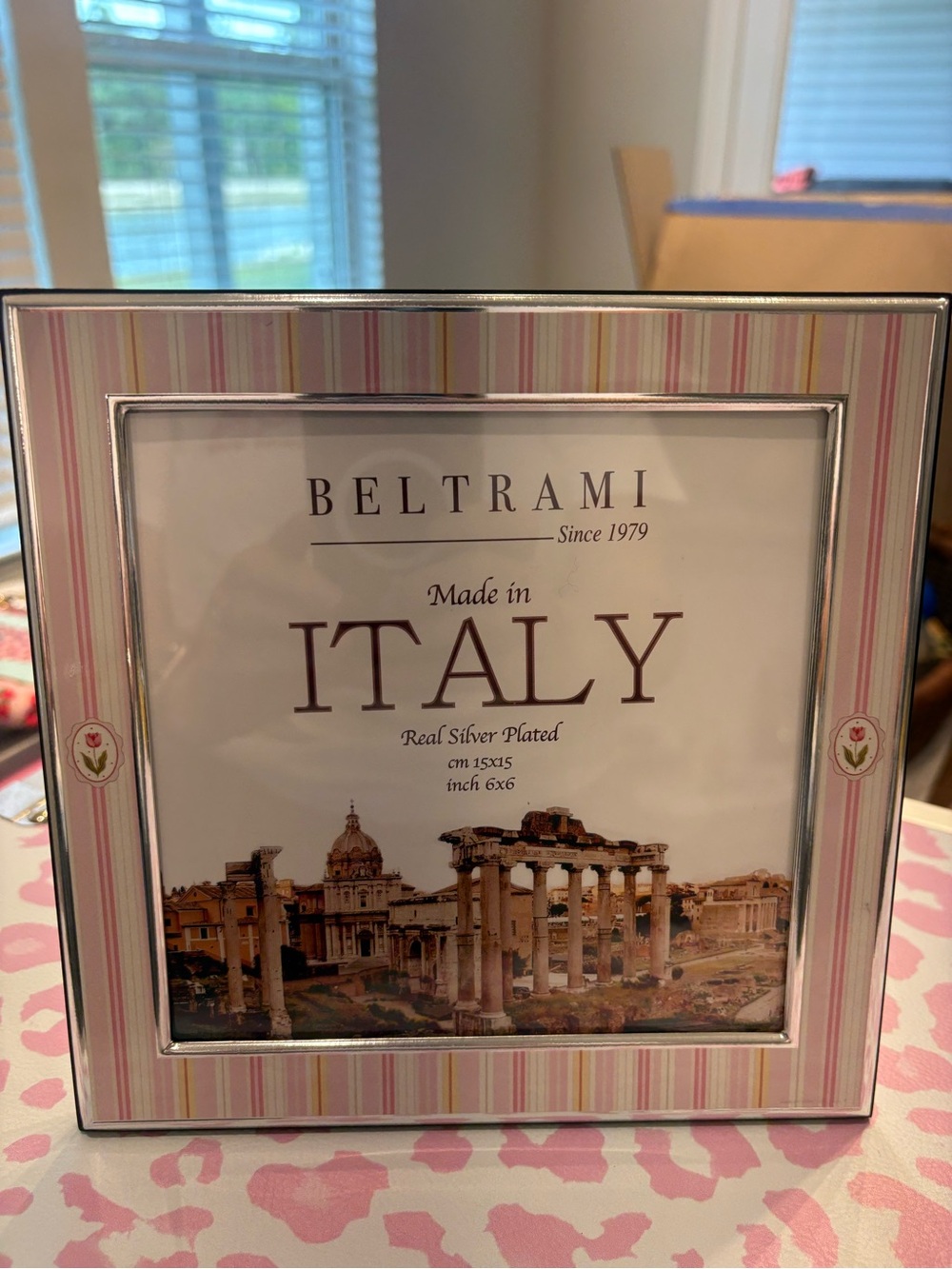 Beltrami Pink Striped Silver-Trim Picture Frame